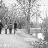 family: image 6 0f 40 thumb
