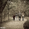 family: image 38 0f 40 thumb