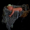 random: image 32 0f 32 thumb